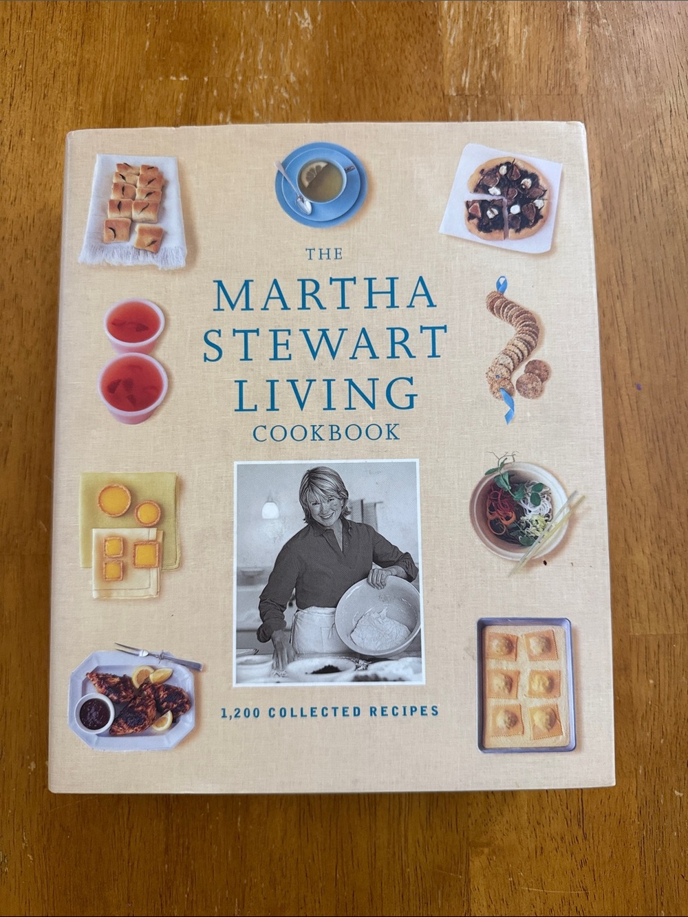 Vintage first edition Martha Stewart Living Cookbook 1,200 recipes vtg coastal